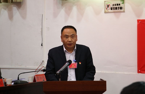中國(guó)共產(chǎn)黨風(fēng)華鎮(zhèn)第七屆二次會(huì)議勝利召開(kāi)