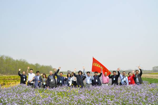 以槐為媒,，約你一起遇見美麗孤島