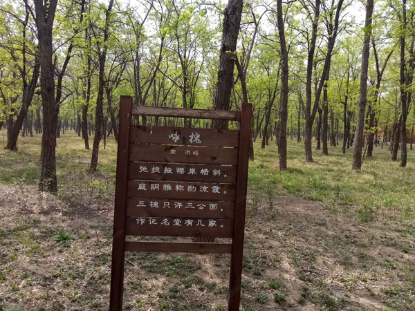走進(jìn)“孤島”系列報(bào)道之以槐為媒,，大報(bào)大刊共赴“孤島”共話文化興鎮(zhèn)
