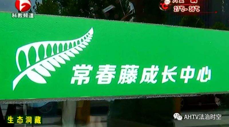 合肥一機(jī)構(gòu)被曝虐童,、用過期食品 官方:無證經(jīng)營