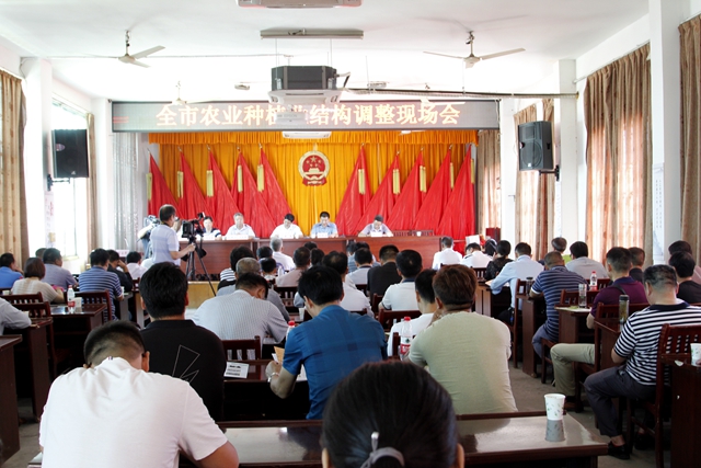 蚌埠市召開農(nóng)業(yè)種植業(yè)結(jié)構(gòu)調(diào)整現(xiàn)場會