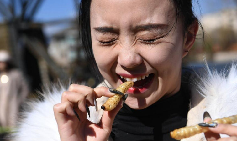 麗江辦免費(fèi)品嘗昆蟲宴 游客圍成圈嘗鮮