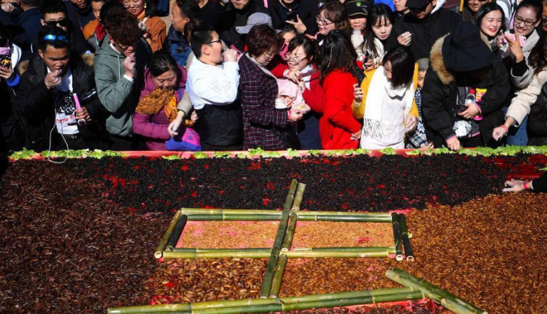 麗江辦免費(fèi)品嘗昆蟲宴 游客圍成圈嘗鮮