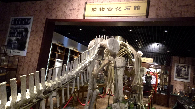 北京《時珍堂中醫(yī)藥博物館》新年聯(lián)歡會圓滿成功,！