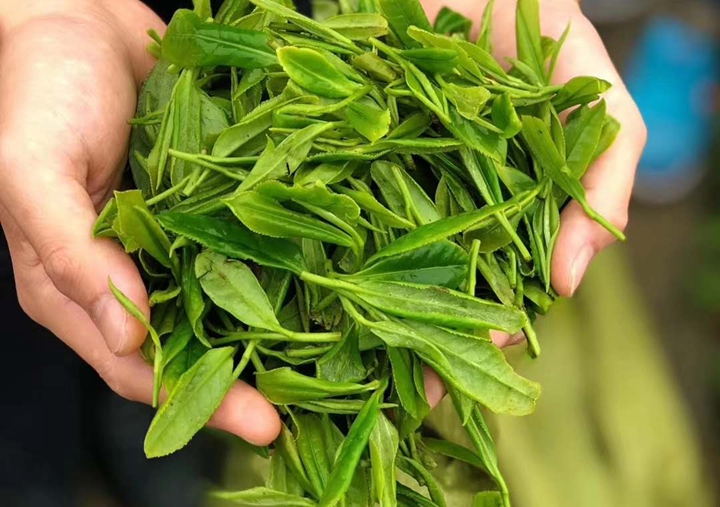  就業(yè)是民生之本，創(chuàng)業(yè)是就業(yè)之源