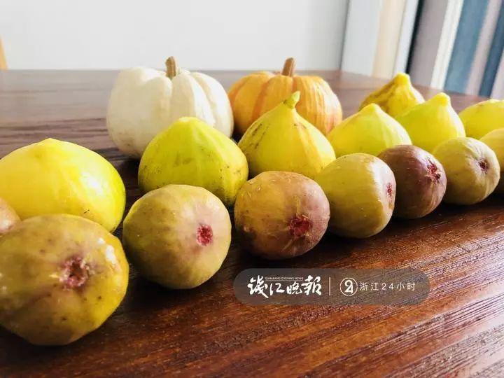 羨慕,!他為妻子打造500多種植物花園,,只為結(jié)婚時一個許諾,!