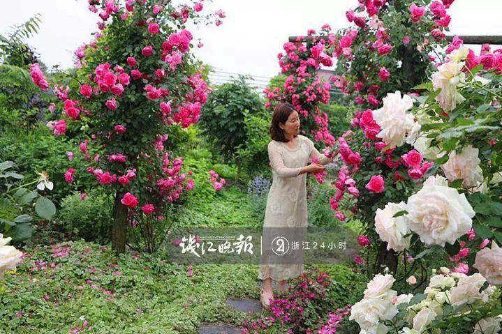 羨慕,!他為妻子打造500多種植物花園,,只為結(jié)婚時一個許諾!