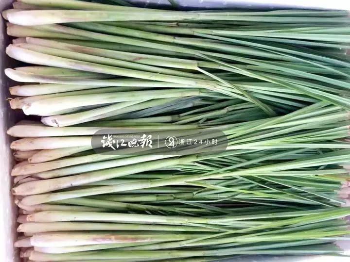 羨慕!他為妻子打造500多種植物花園,,只為結(jié)婚時一個許諾,!