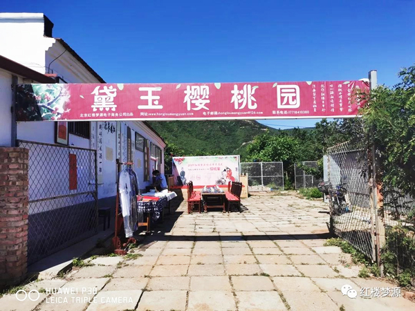 2019紅樓夢(mèng)源吟詩(shī)節(jié)開(kāi)幕式暨紀(jì)念曹雪芹誕辰305年櫻桃宴在海淀溫泉白家疃黛玉櫻桃園舉辦