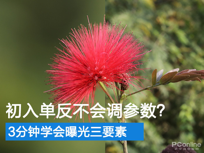 初入單反不會(huì)調(diào)參數(shù)？3分鐘學(xué)會(huì)曝光三要素