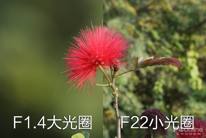 初入單反不會(huì)調(diào)參數(shù),？3分鐘學(xué)會(huì)曝光三要素