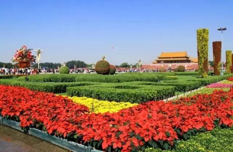 天安門(mén)太漂亮了、北京太震撼了