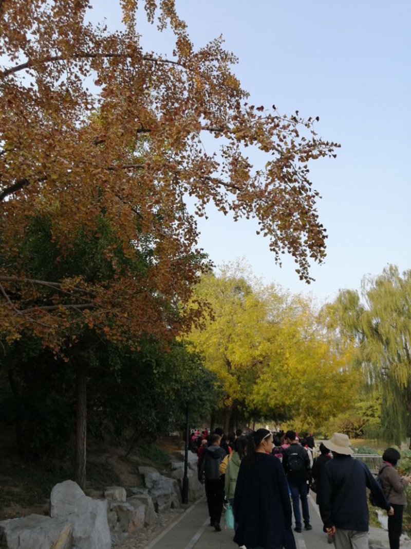 圓明園將迎來罹難159周年紀(jì)念日