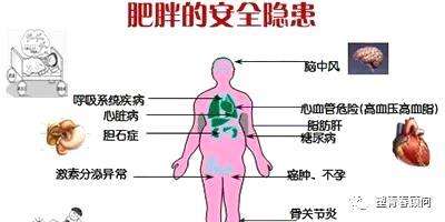 百病之源,！肥胖的九大危害,，你知道幾個(gè)？