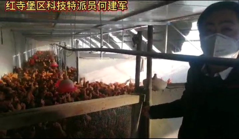 寧夏吳忠市紅寺堡區(qū)打響“?！弊峙品?wù)就業(yè)群眾