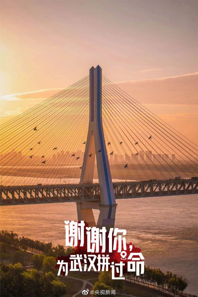 謝謝你為湖北拼過命,！武漢最美的風景 送給最好的你