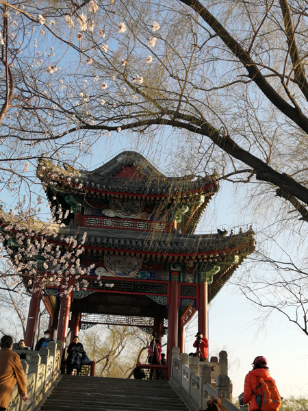 春光爛漫頤和園