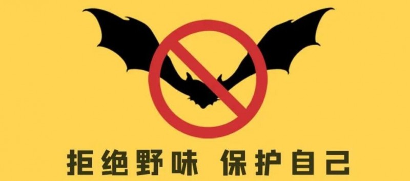 12省市已出臺“禁野令”,，亂吃野味以后怎么罰？