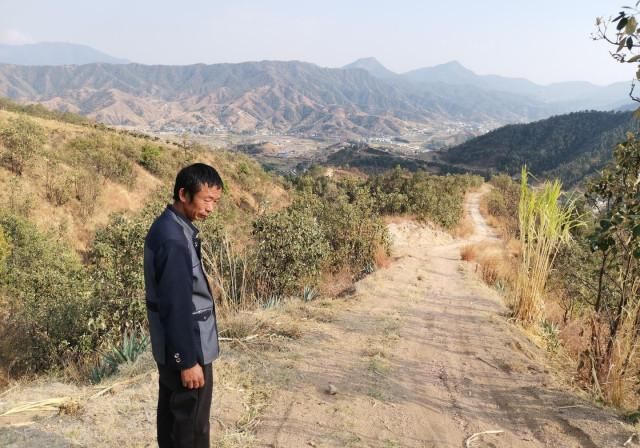 農(nóng)民自費修路被罰，能適用“輕微違法免罰”嗎,？