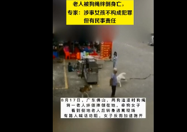 老人被狗繩絆倒身亡,，專家：涉事女孩不構(gòu)成犯罪但有民事責(zé)任