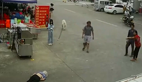 老人被狗繩絆倒身亡,，專家：涉事女孩不構(gòu)成犯罪但有民事責(zé)任