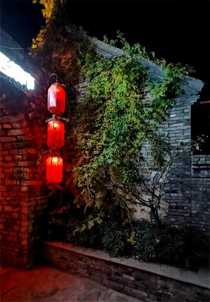周家鴻手機拍圖