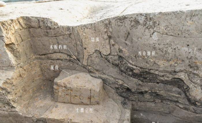 河南淮陽時(shí)莊遺址剖面 河南省文物考古研究院供圖