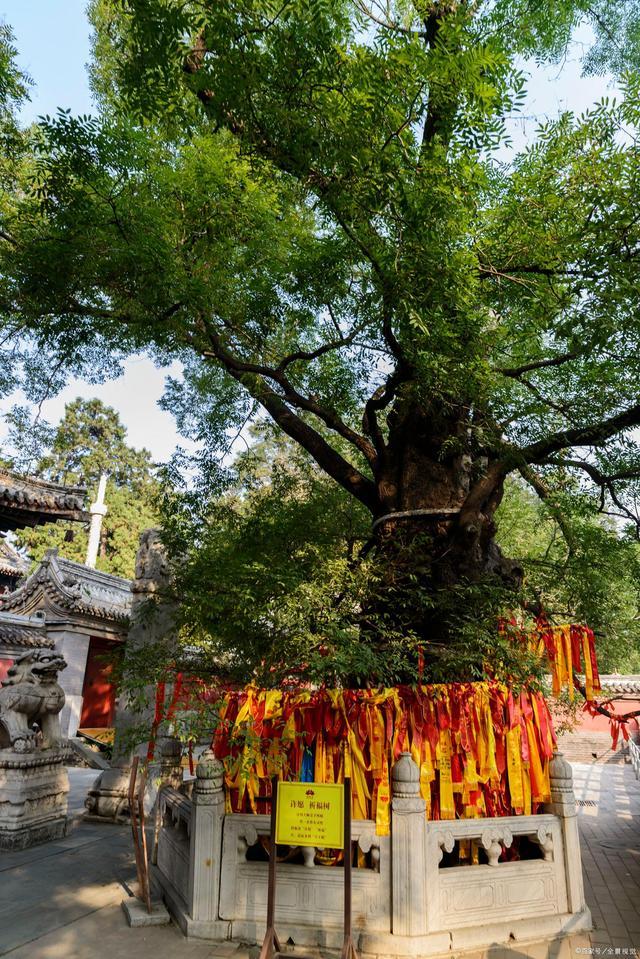 京西有座千年寺廟，授戒需要皇帝赦諭,，距離北京只有70公里