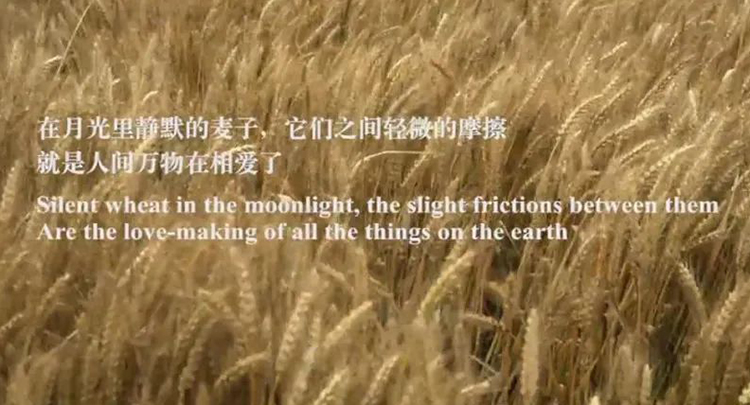 她不是中國(guó)最好的詩(shī)人,，但卻是最打動(dòng)我的詩(shī)人