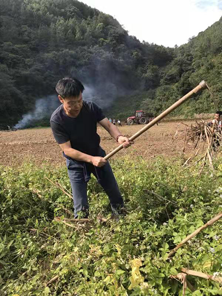 院士扶貧開(kāi)出致富花——普洱“高端路線”成典范