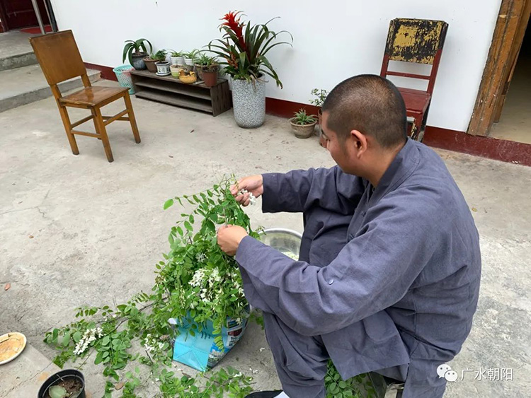 “一窮二白”的年輕僧人，讓600年古廟“活”了過來