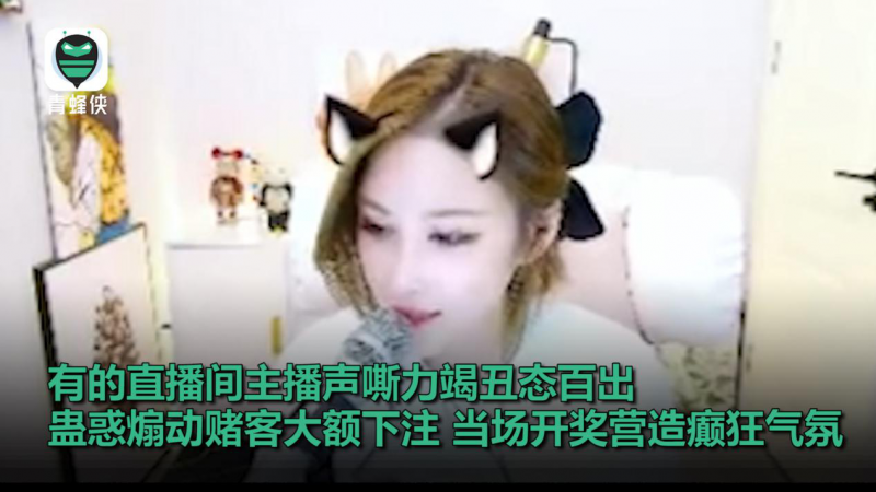 輸光學(xué)費(fèi),、房款,、公款……直播間聚賭網(wǎng)上蔓延 毒害青少年觸目驚心