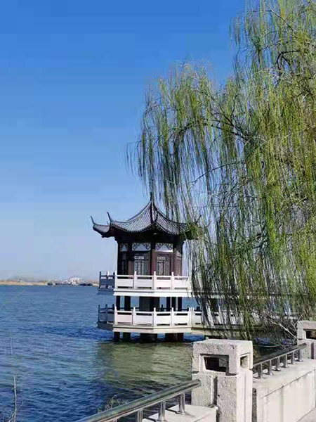 周家鴻手機(jī)拍圖——淮水春光