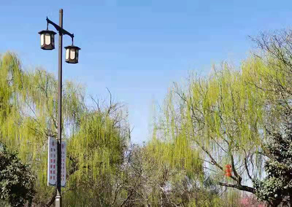 周家鴻手機(jī)拍圖——淮水春光