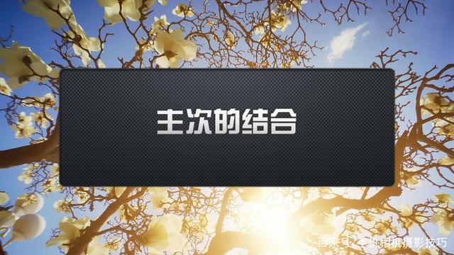 春花盛開,，手機(jī)怎么拍,？記住這4條秘訣，就能出大片,！