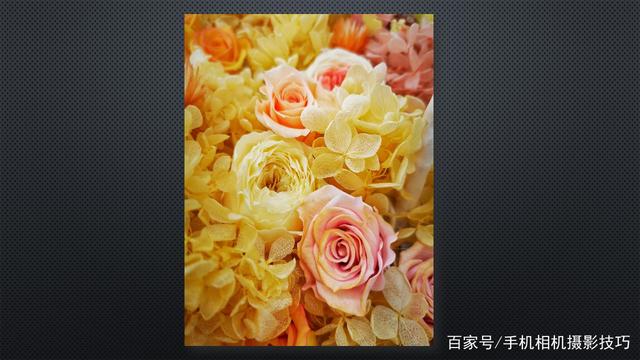 春花盛開，手機(jī)怎么拍,？記住這4條秘訣,，就能出大片！