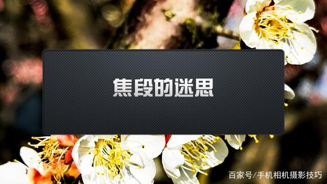 春花盛開，手機(jī)怎么拍,？記住這4條秘訣,，就能出大片！