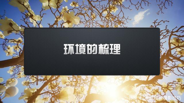 春花盛開，手機(jī)怎么拍,？記住這4條秘訣,，就能出大片！