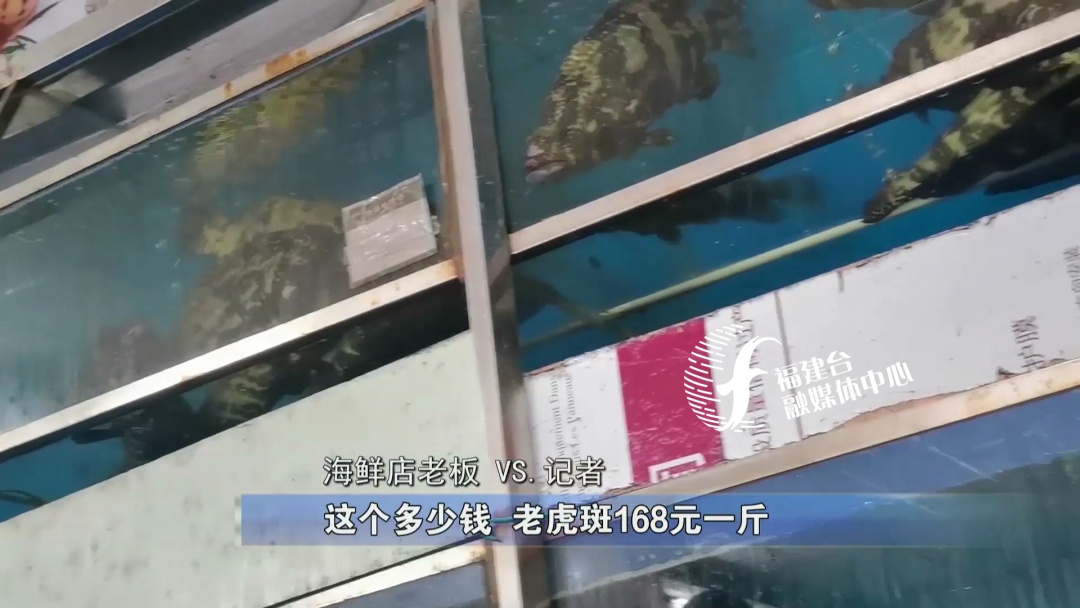 全程揭秘廈門“低價(jià)游黑鏈”，是如何被坑的,？