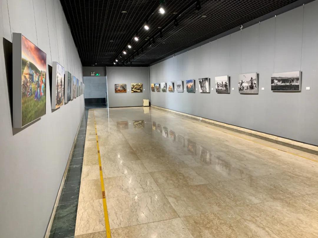蒙古馬攝影藝術作品展暨《蒙古馬》畫冊首發(fā)式開幕