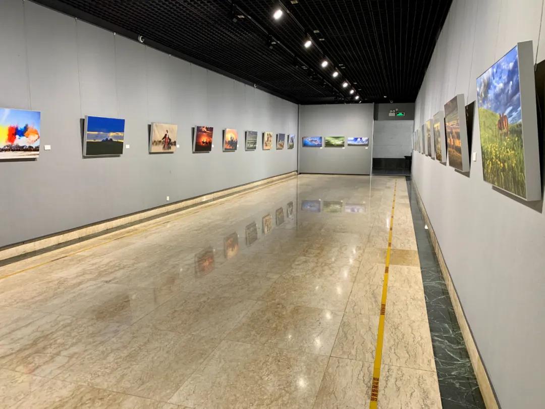蒙古馬攝影藝術作品展暨《蒙古馬》畫冊首發(fā)式開幕