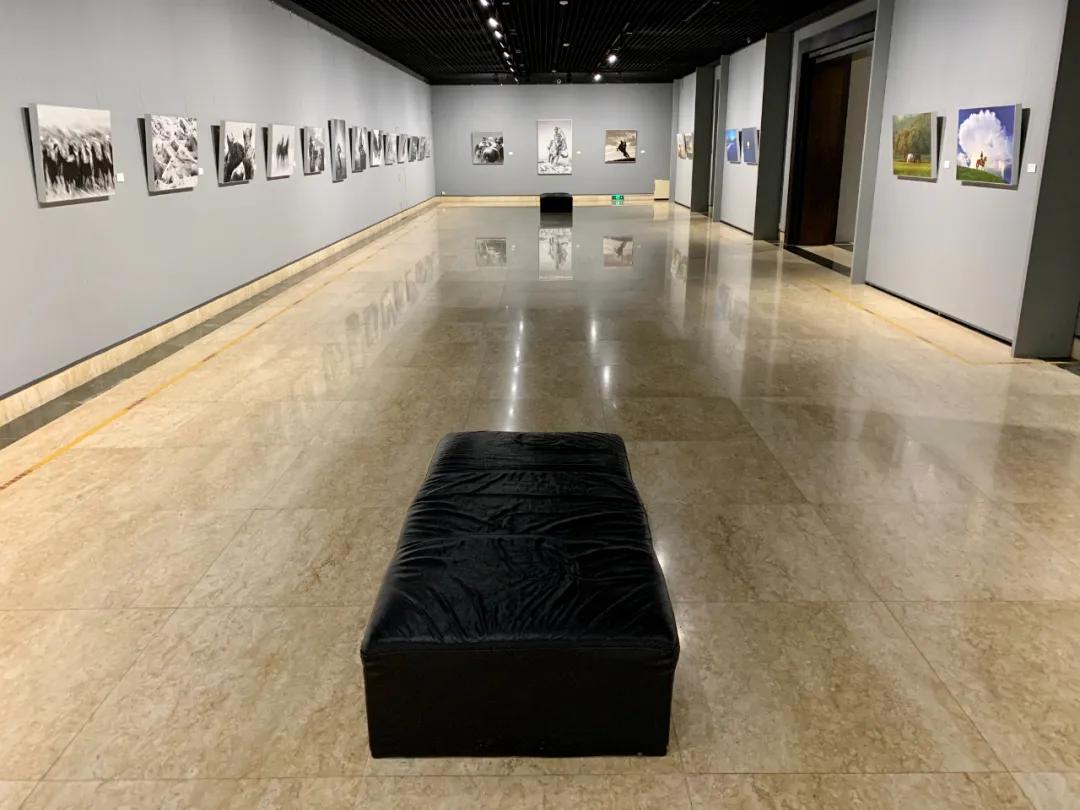蒙古馬攝影藝術作品展暨《蒙古馬》畫冊首發(fā)式開幕
