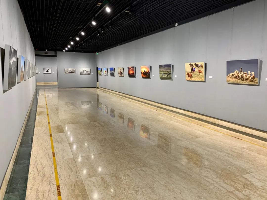 蒙古馬攝影藝術作品展暨《蒙古馬》畫冊首發(fā)式開幕