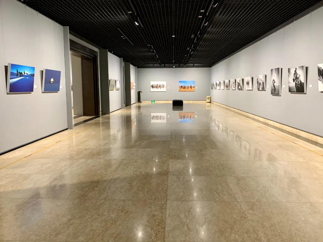 蒙古馬攝影藝術作品展暨《蒙古馬》畫冊首發(fā)式開幕