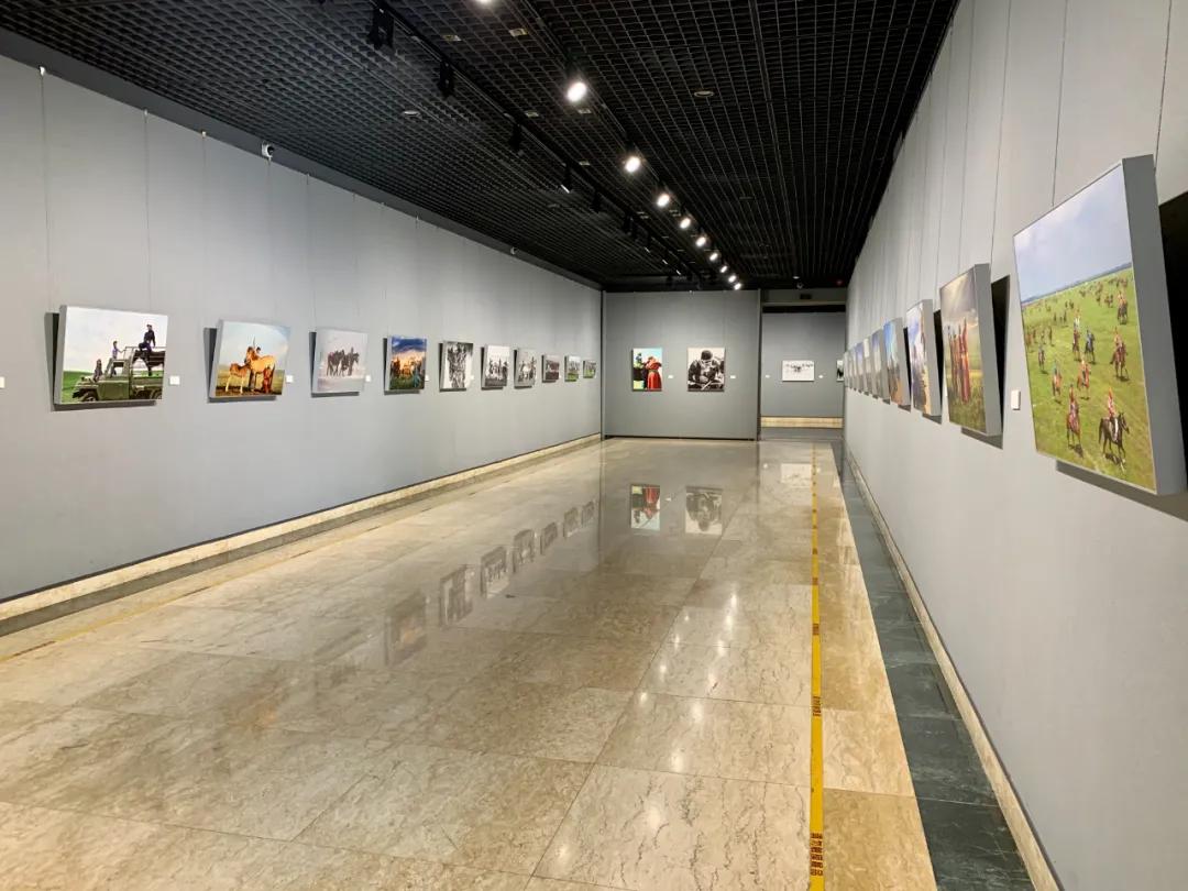 蒙古馬攝影藝術作品展暨《蒙古馬》畫冊首發(fā)式開幕