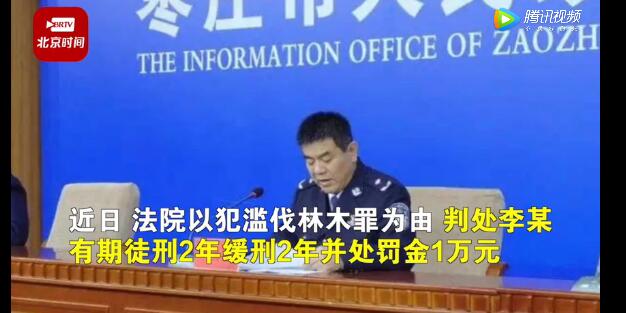 農(nóng)民砍自家樹700棵獲刑,！處罰依據(jù)公布