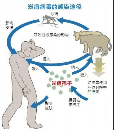 北京疾控提醒:五一出游,,人與動物保持距離