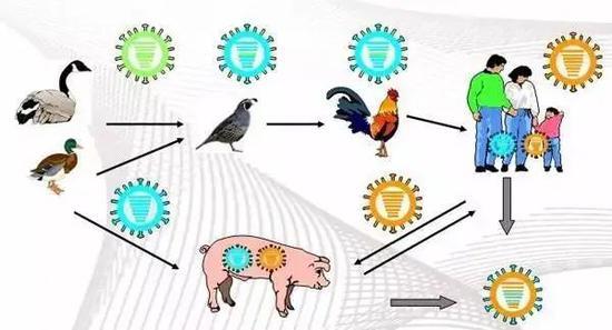 北京疾控提醒:五一出游,,人與動物保持距離