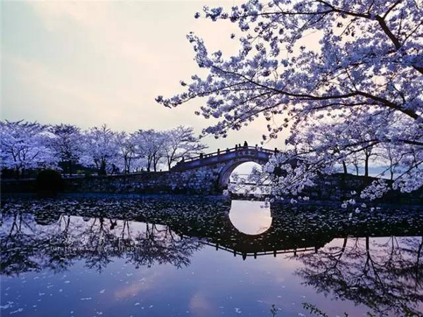 俄羅斯人拍了幾張中國(guó)的照片，獲得了國(guó)際頭獎(jiǎng),，驚艷了全世界,。 
