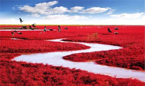 俄羅斯人拍了幾張中國(guó)的照片,，獲得了國(guó)際頭獎(jiǎng),，驚艷了全世界,。 